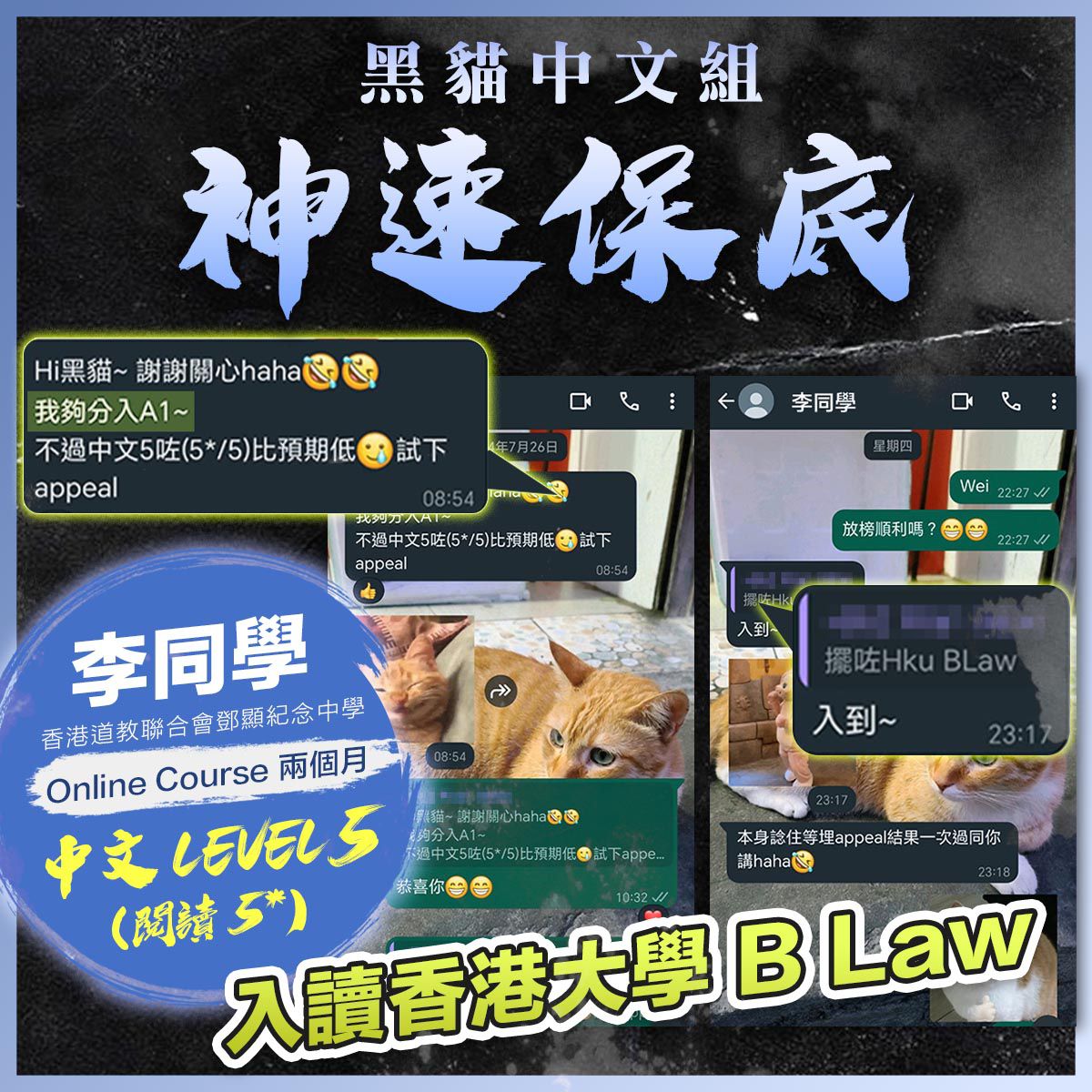 34302d21-a6c5-4fcd-bc40-730003bd01e8